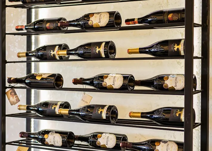 Universi Bajram Curri